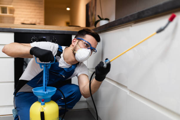 Best Emergency Pest Control  in Darien, IL