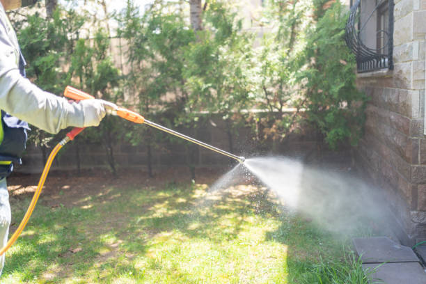 Best Pest Control for Homes  in Darien, IL