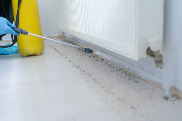 Professional Pest Control in Darien, IL