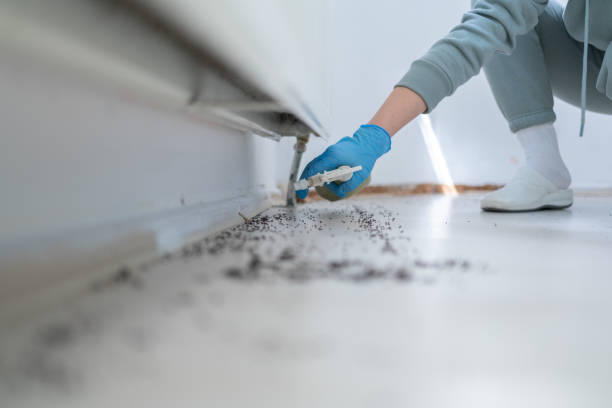 Best Pest Prevention Services  in Darien, IL