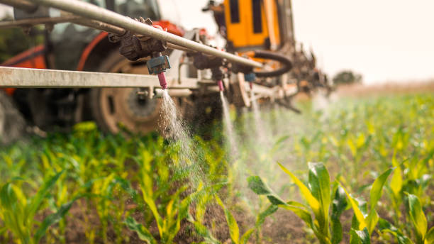 Reliable Darien, IL Pest Control Solutions